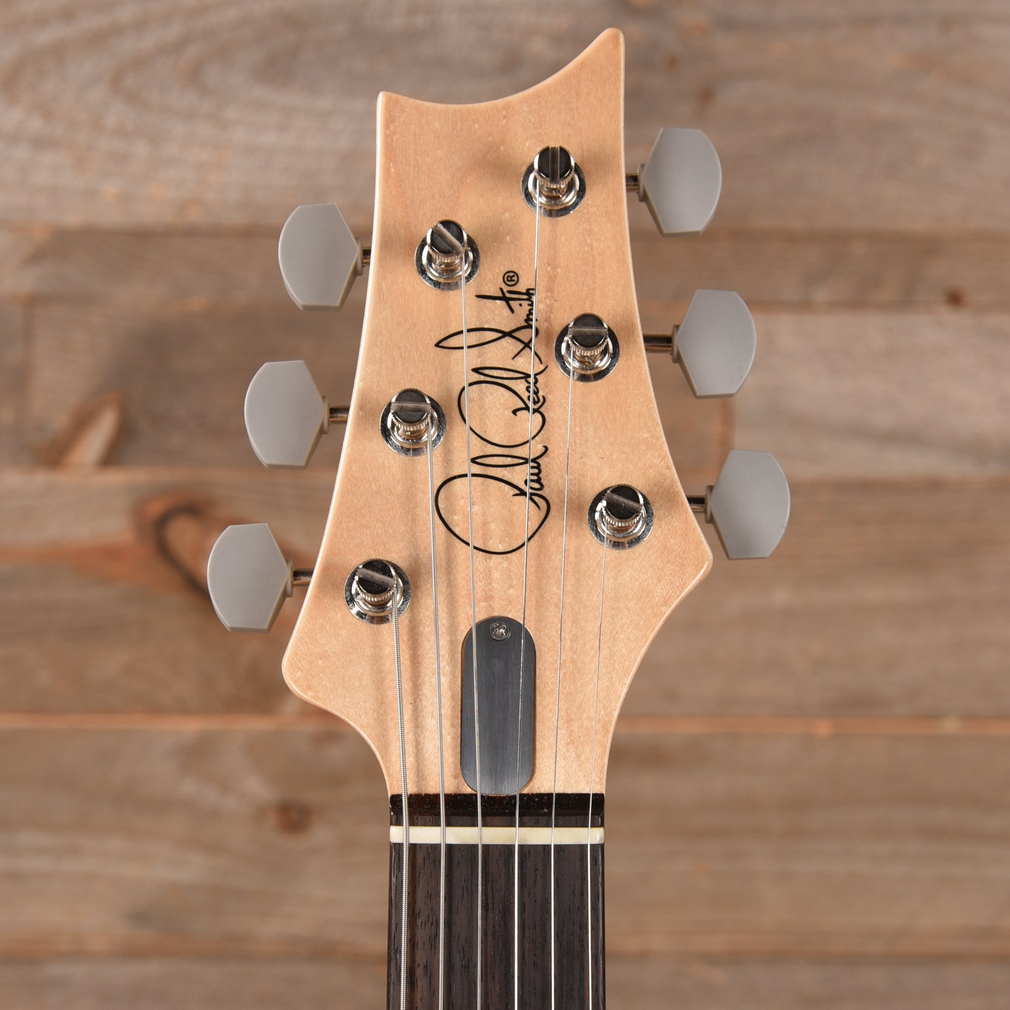 PRS Silver Sky John Mayer Polar Blue Electric Guitars / Solid Body
