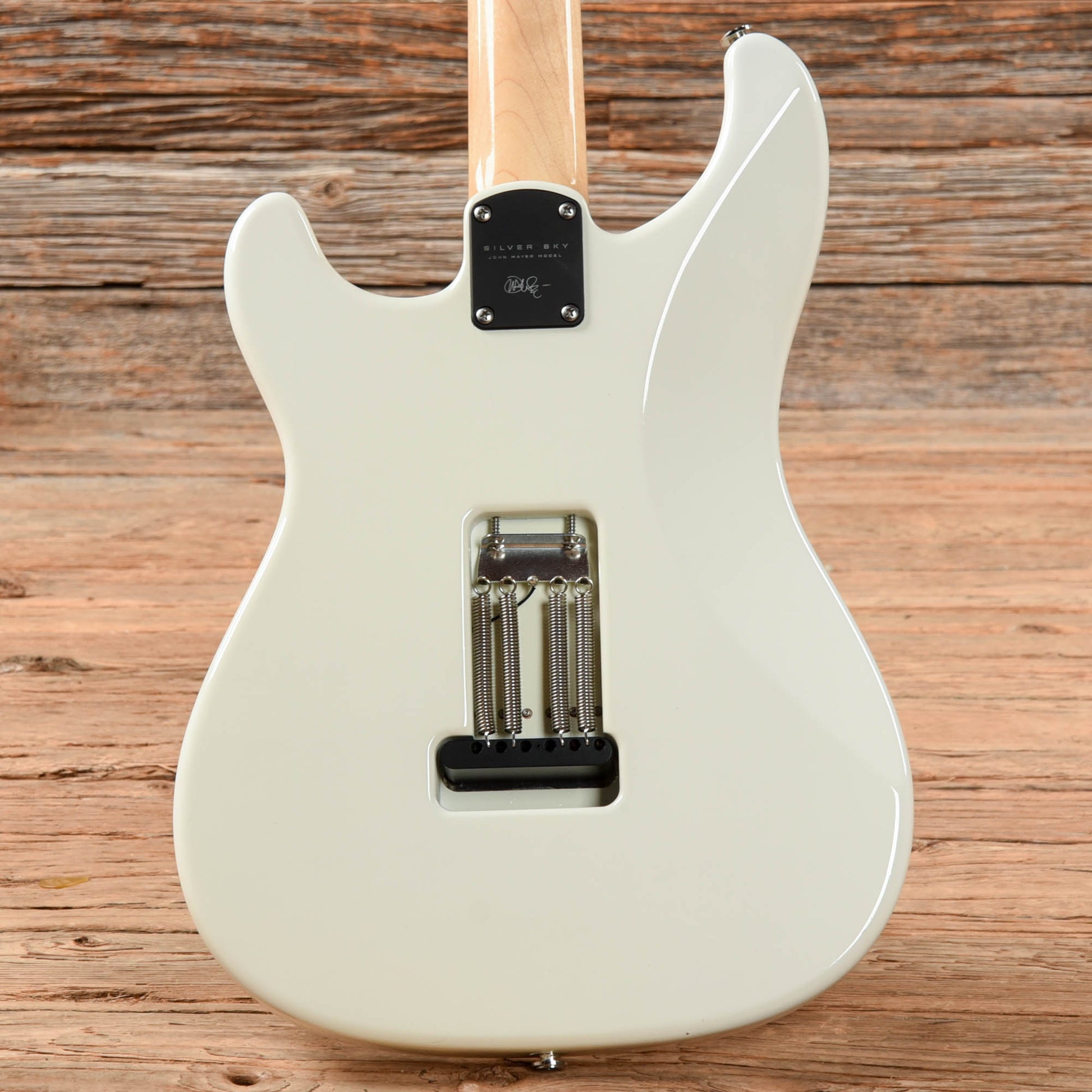PRS Silver Sky John Mayer Signature Frost 2021 Electric Guitars / Solid Body