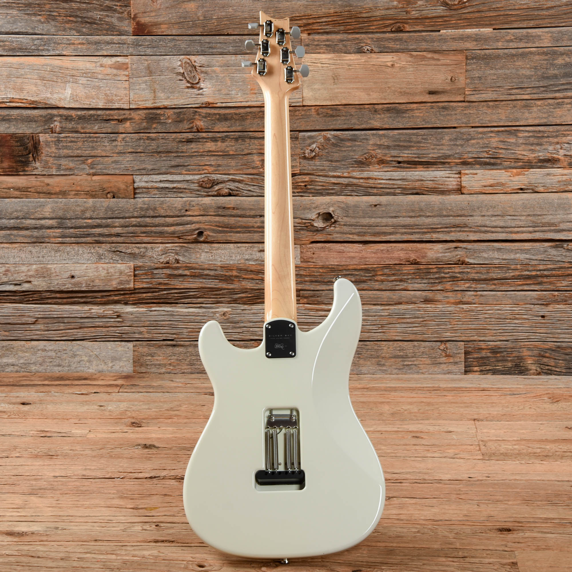 PRS Silver Sky John Mayer Signature Frost 2021 Electric Guitars / Solid Body