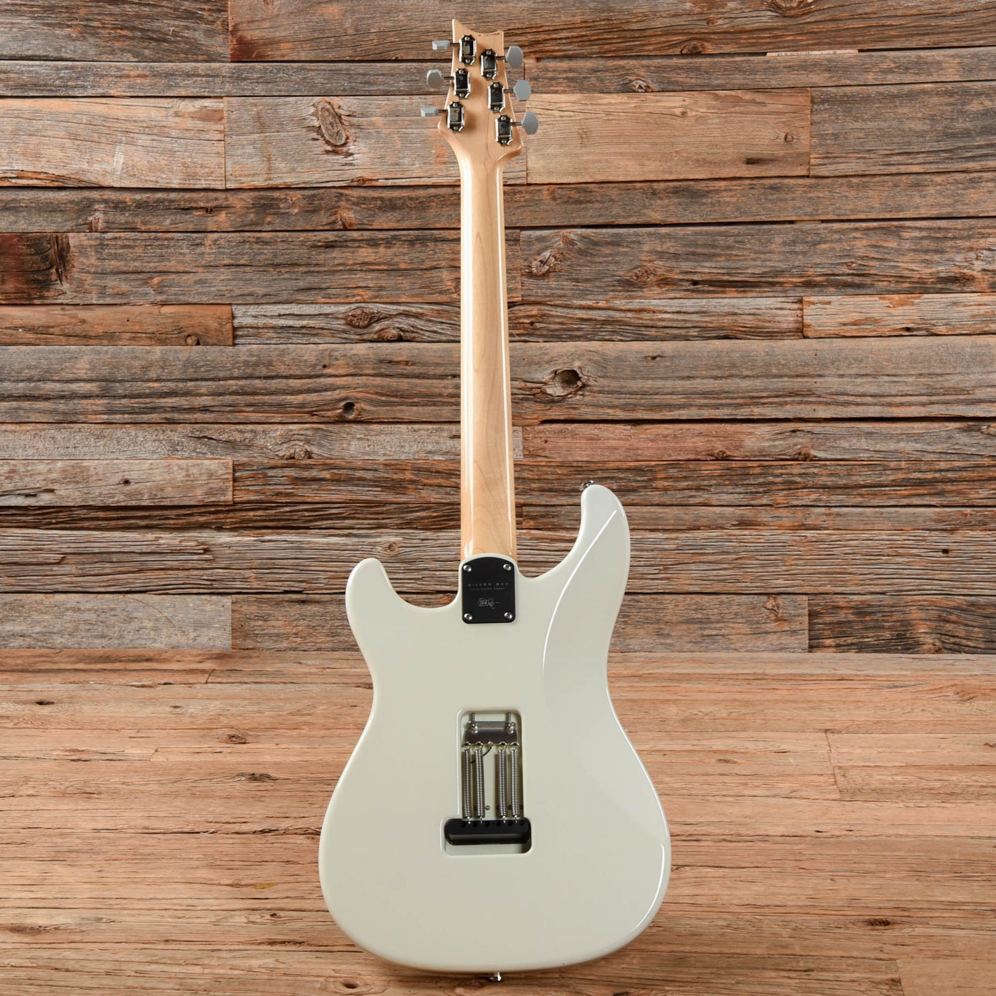 PRS Silver Sky John Mayer Signature Frost 2021 Electric Guitars / Solid Body