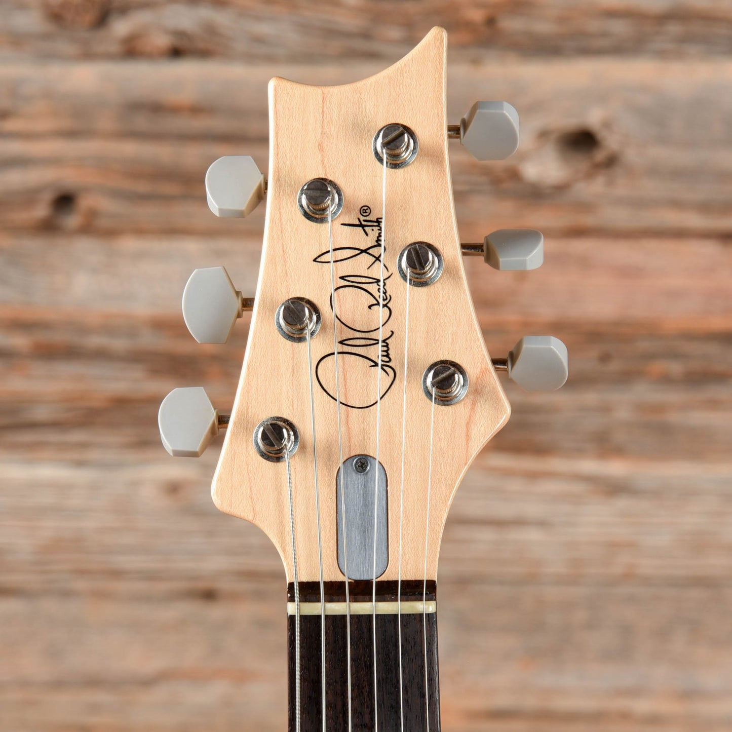 PRS Silver Sky John Mayer Signature Frost 2021 Electric Guitars / Solid Body