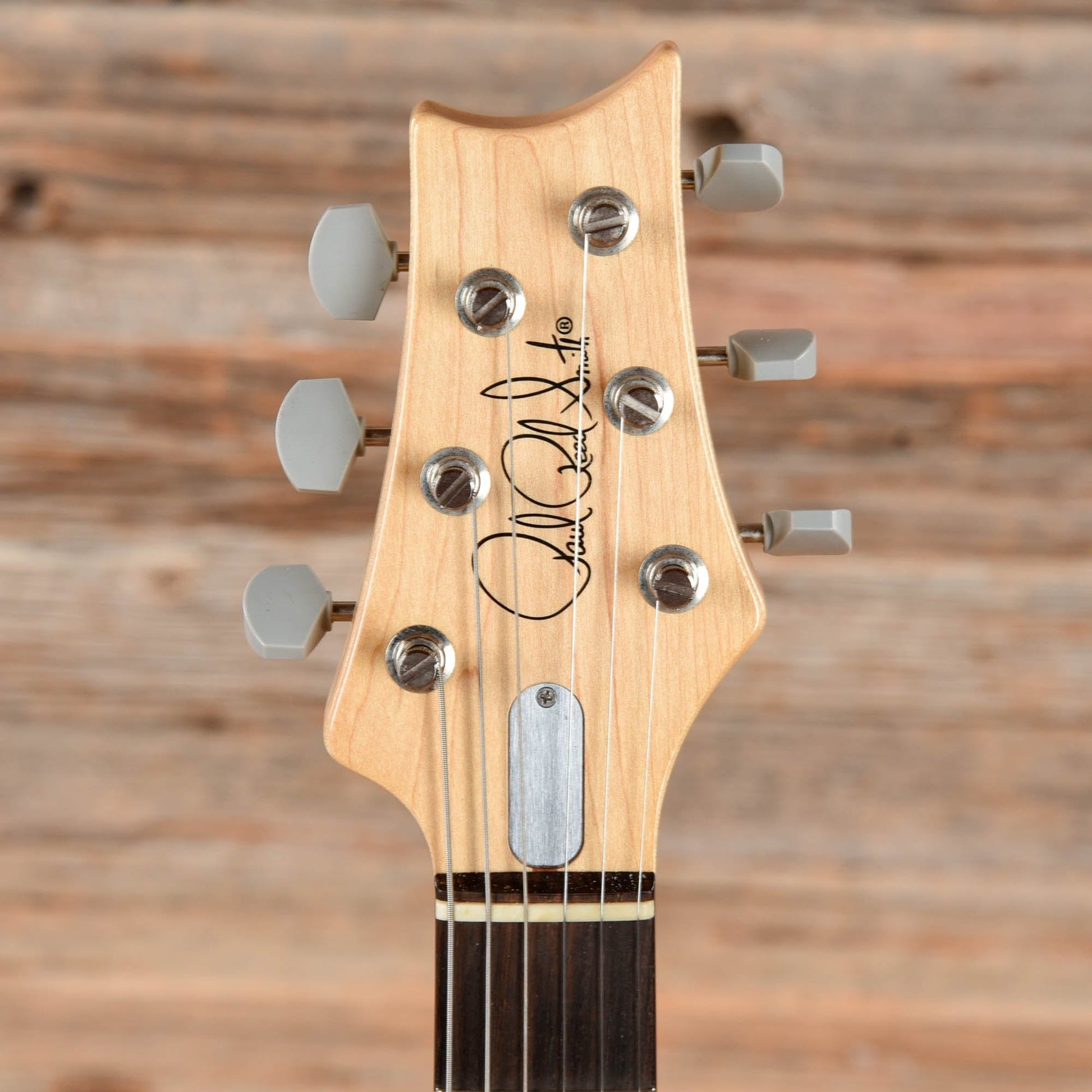 PRS Silver Sky John Mayer Signature Polar Blue 2019 Electric Guitars / Solid Body