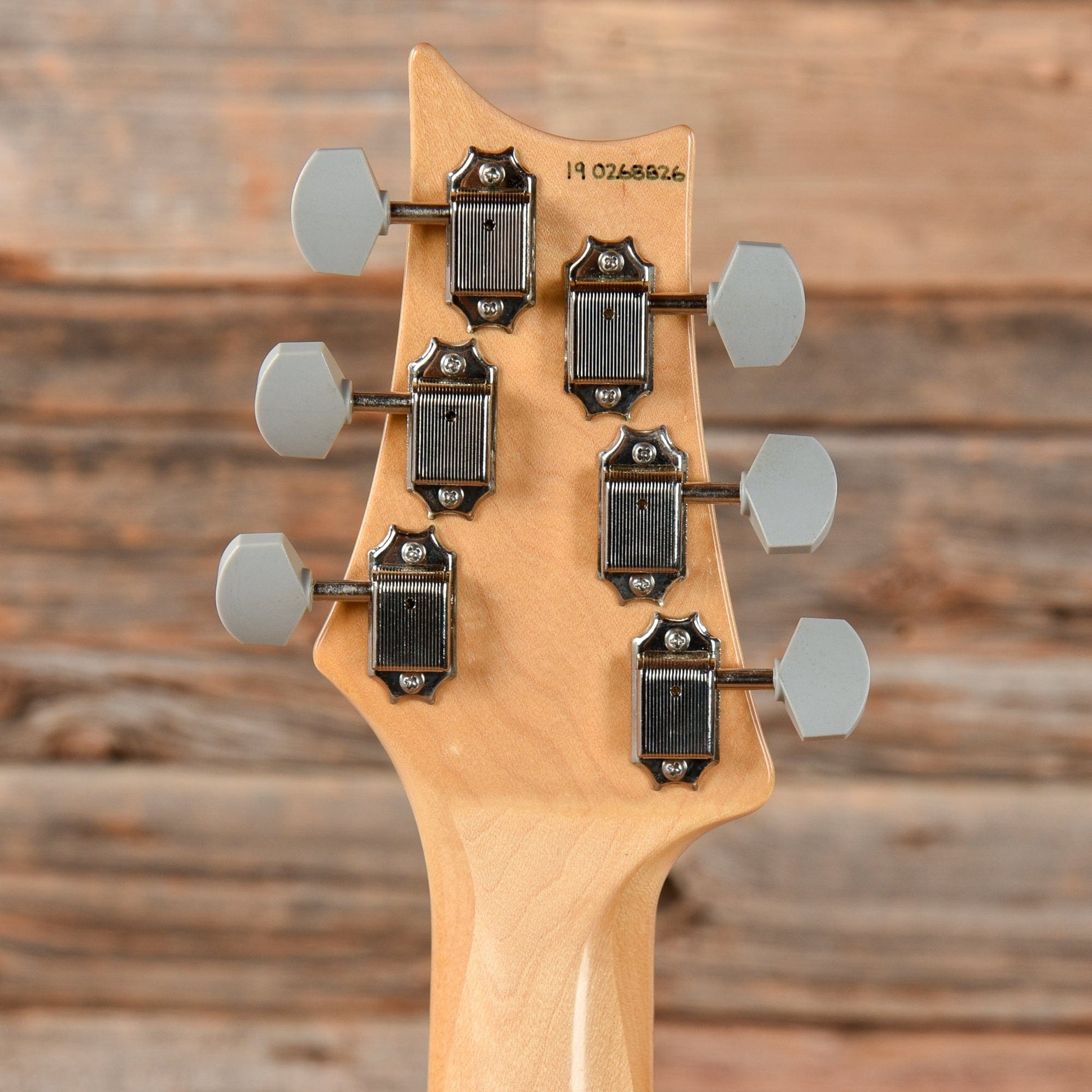 PRS Silver Sky John Mayer Signature Tungsten 2019 Electric Guitars / Solid Body