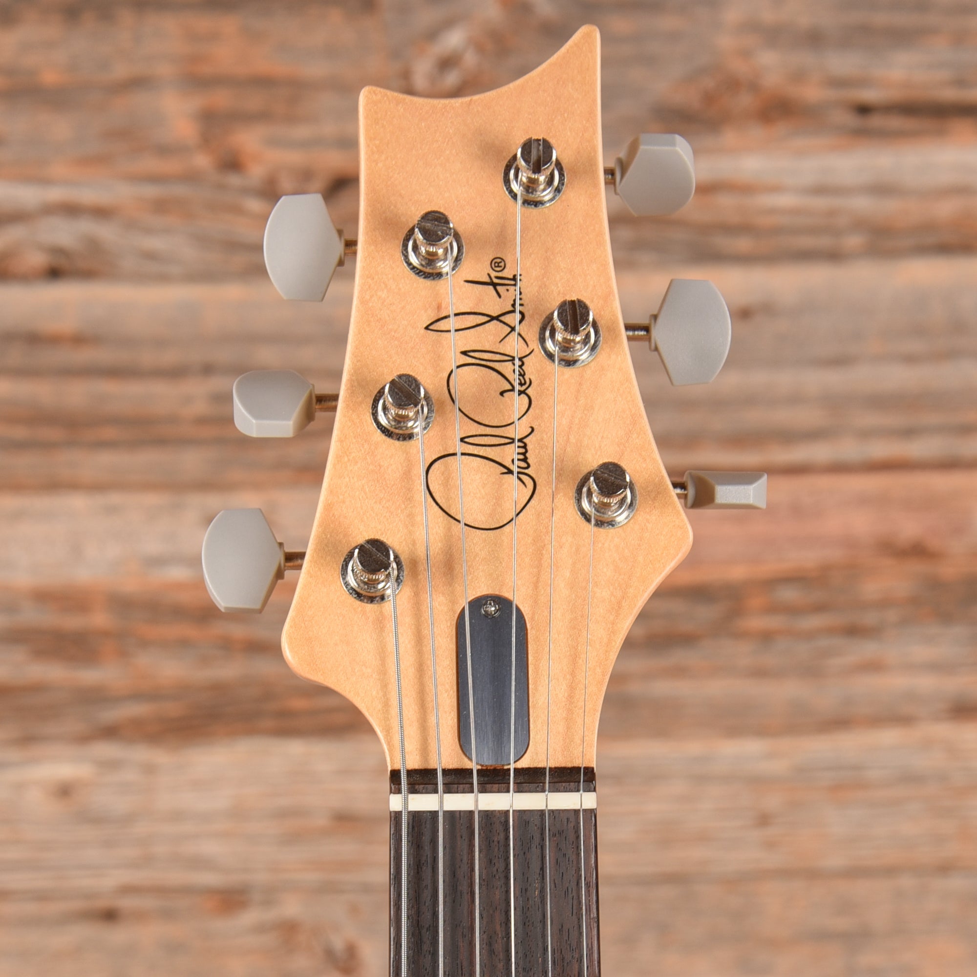 PRS Silver Sky John Mayer Signature Tungsten 2022 Electric Guitars / Solid Body