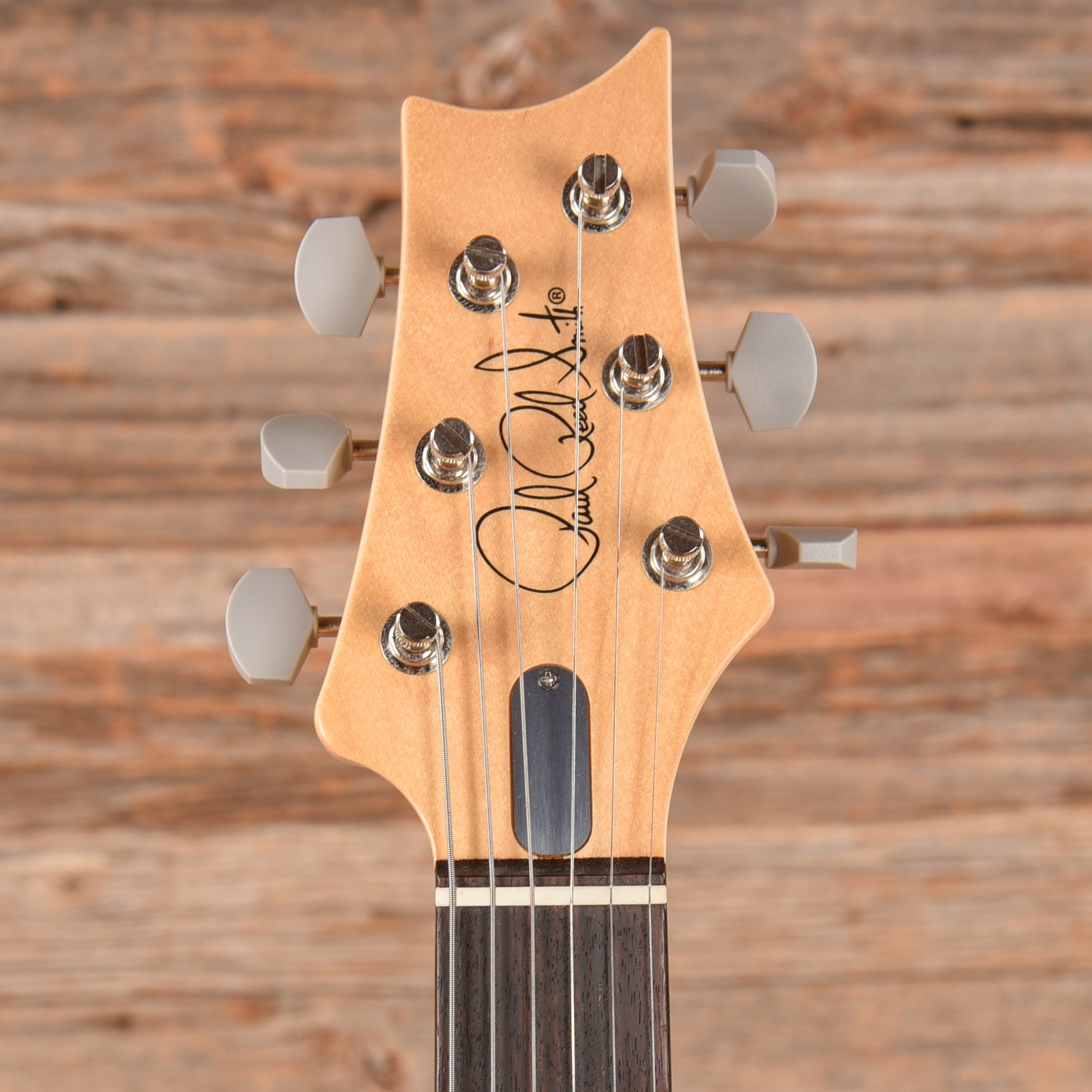 PRS Silver Sky John Mayer Signature Tungsten 2022 Electric Guitars / Solid Body