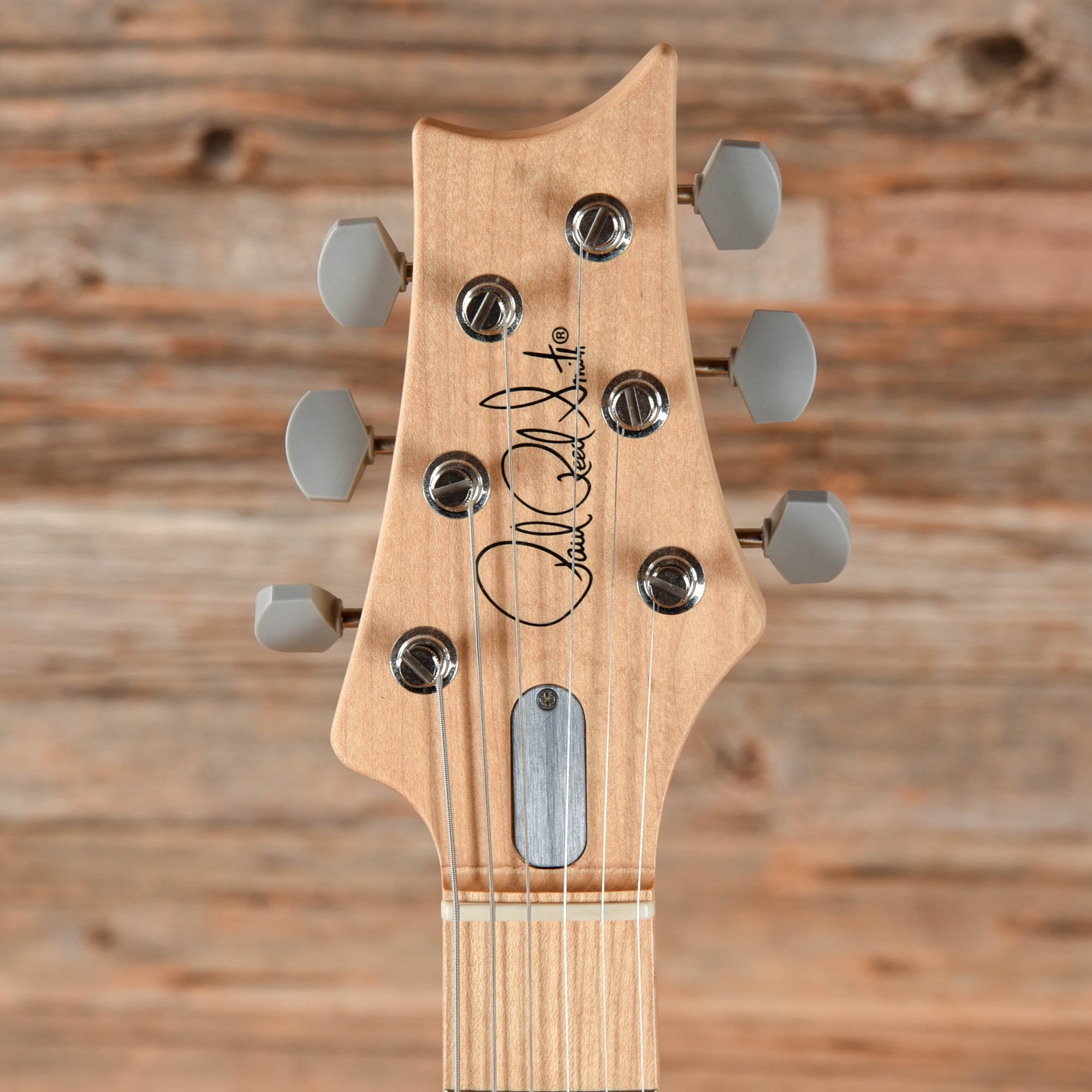 PRS Silver Sky Limited Edition Lunar Ice 2021 Electric Guitars / Solid Body