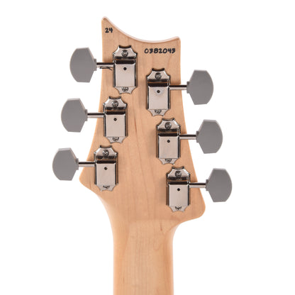 PRS Silver Sky Maple John Mayer Frost Electric Guitars / Solid Body