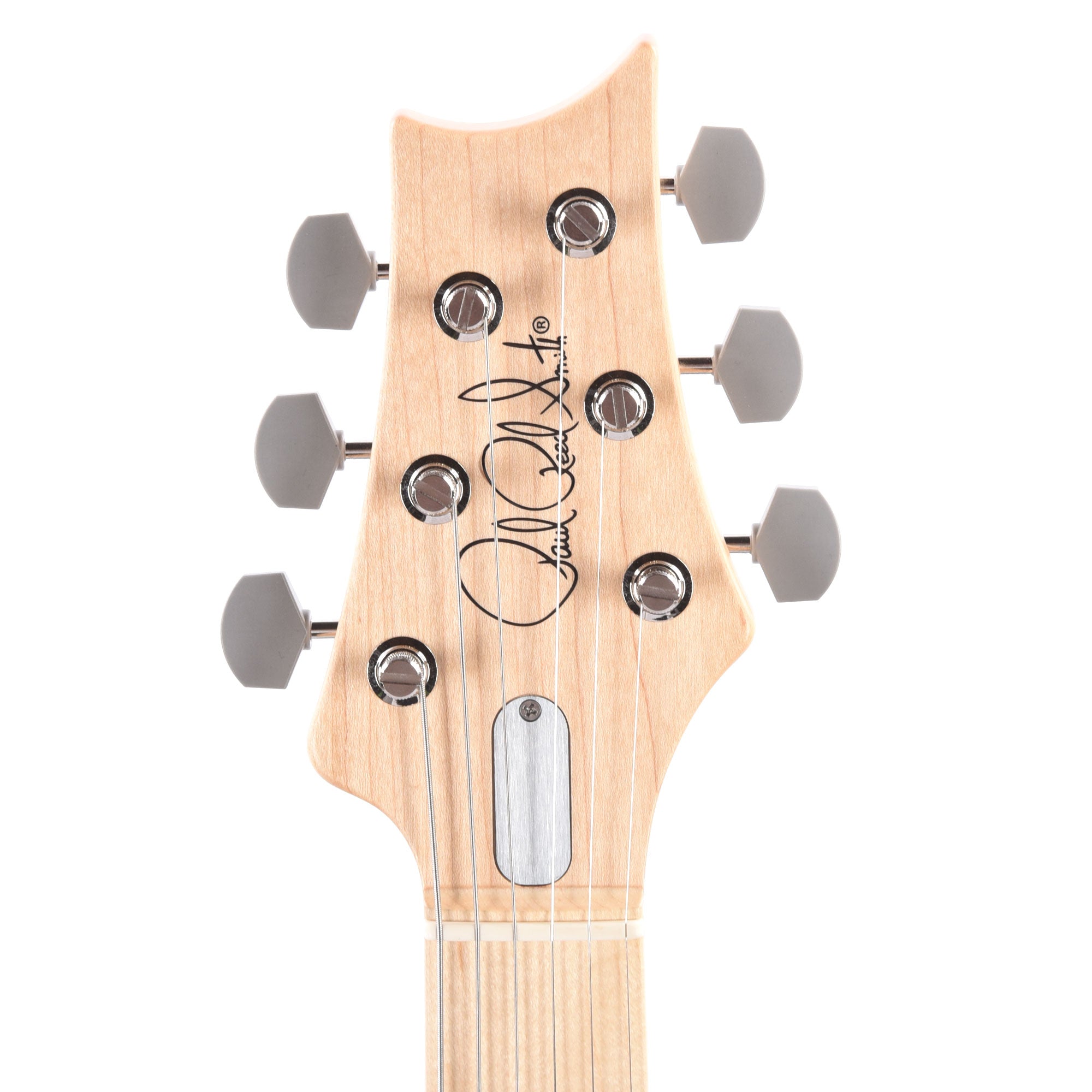 PRS Silver Sky Maple John Mayer Polar Blue Electric Guitars / Solid Body