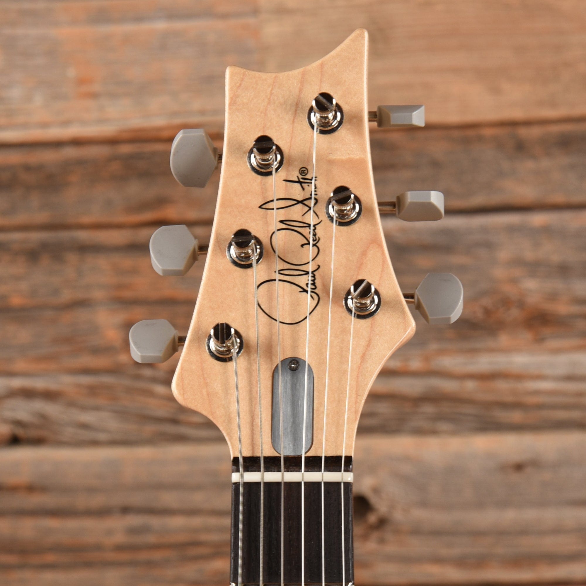 PRS Silver Sky Tungsten 2023 Electric Guitars / Solid Body