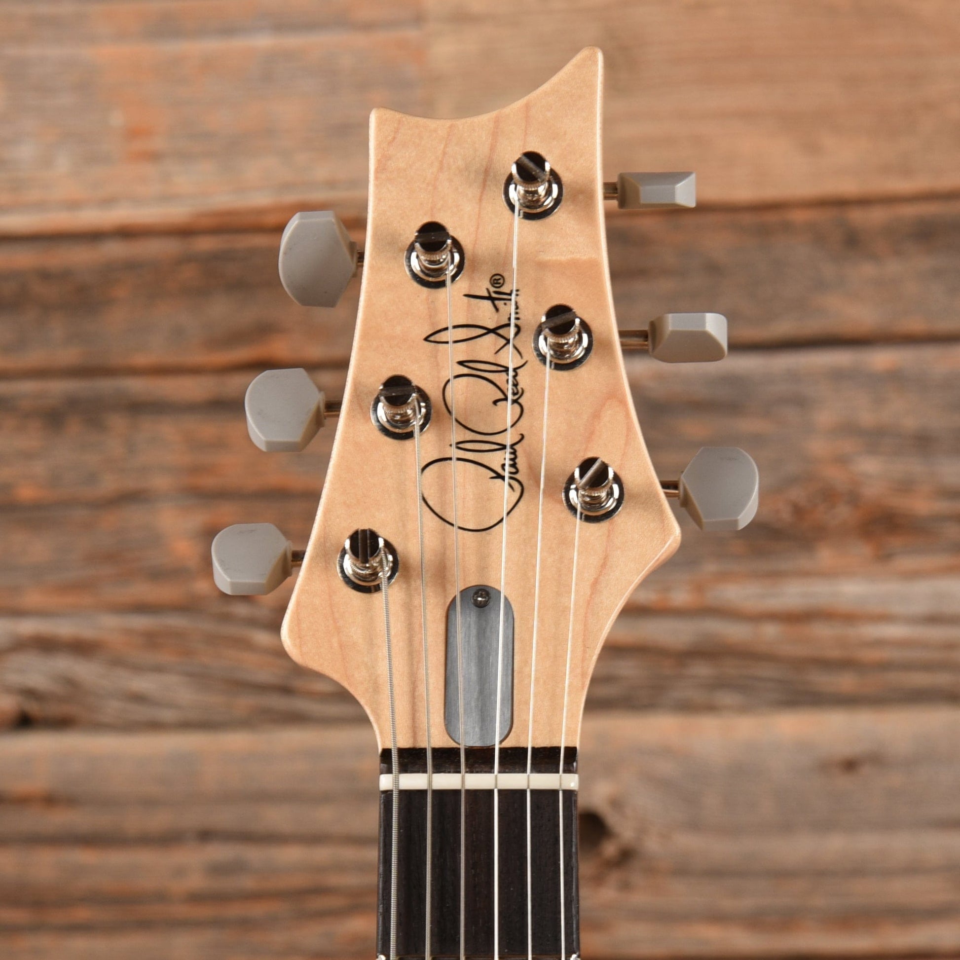 PRS Silver Sky Tungsten 2023 Electric Guitars / Solid Body