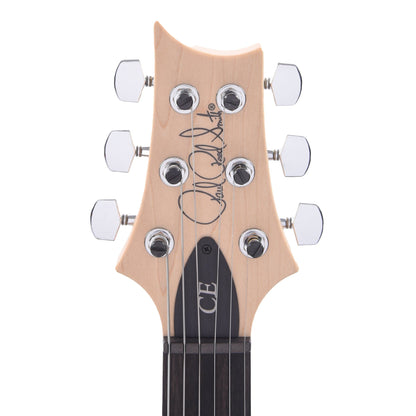 PRS Special Run CE 24 Tortoise Shell w/Ebony Fingerboard & 57/08 Humbuckers Electric Guitars / Solid Body