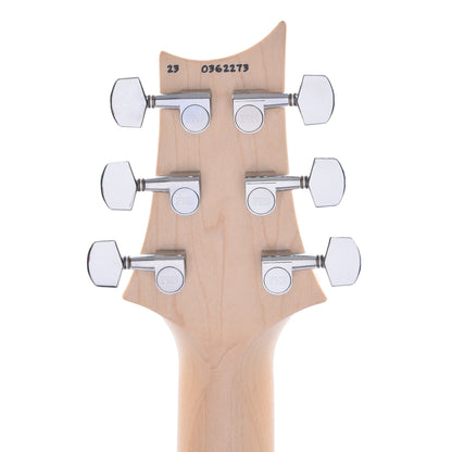 PRS Special Run CE 24 Tortoise Shell w/Ebony Fingerboard & 57/08 Humbuckers Electric Guitars / Solid Body