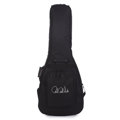 PRS Special Run CE 24 Tortoise Shell w/Ebony Fingerboard & 57/08 Humbuckers Electric Guitars / Solid Body