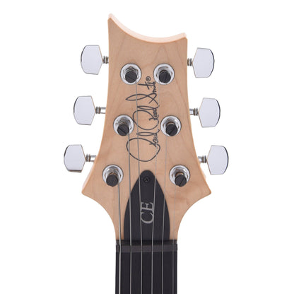 PRS Special Run CE 24 Tortoise Shell w/Ebony Fingerboard & 57/08 Humbuckers Electric Guitars / Solid Body