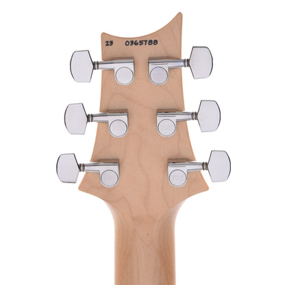 PRS Special Run CE 24 Tortoise Shell w/Ebony Fingerboard & 57/08 Humbuckers Electric Guitars / Solid Body