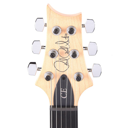 PRS Special Run CE 24 Tortoise Shell w/Ebony Fingerboard & 57/08 Humbuckers Electric Guitars / Solid Body