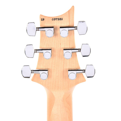 PRS Special Run CE 24 Tortoise Shell w/Ebony Fingerboard & 57/08 Humbuckers Electric Guitars / Solid Body