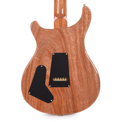 PRS Studio 10-Top Eriza Verde Electric Guitars / Solid Body