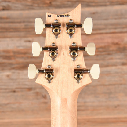 PRS Swamp Ash Special Black 2025 Electric Guitars / Solid Body
