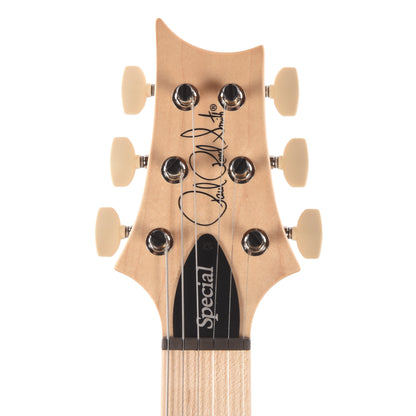 PRS Swamp Ash Special Maple Mulberry Smokeburst Electric Guitars / Solid Body