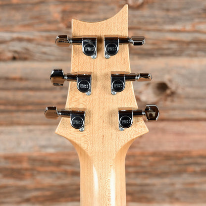 PRS Swamp Ash Special Tobacco Sunburst 2009 Electric Guitars / Solid Body