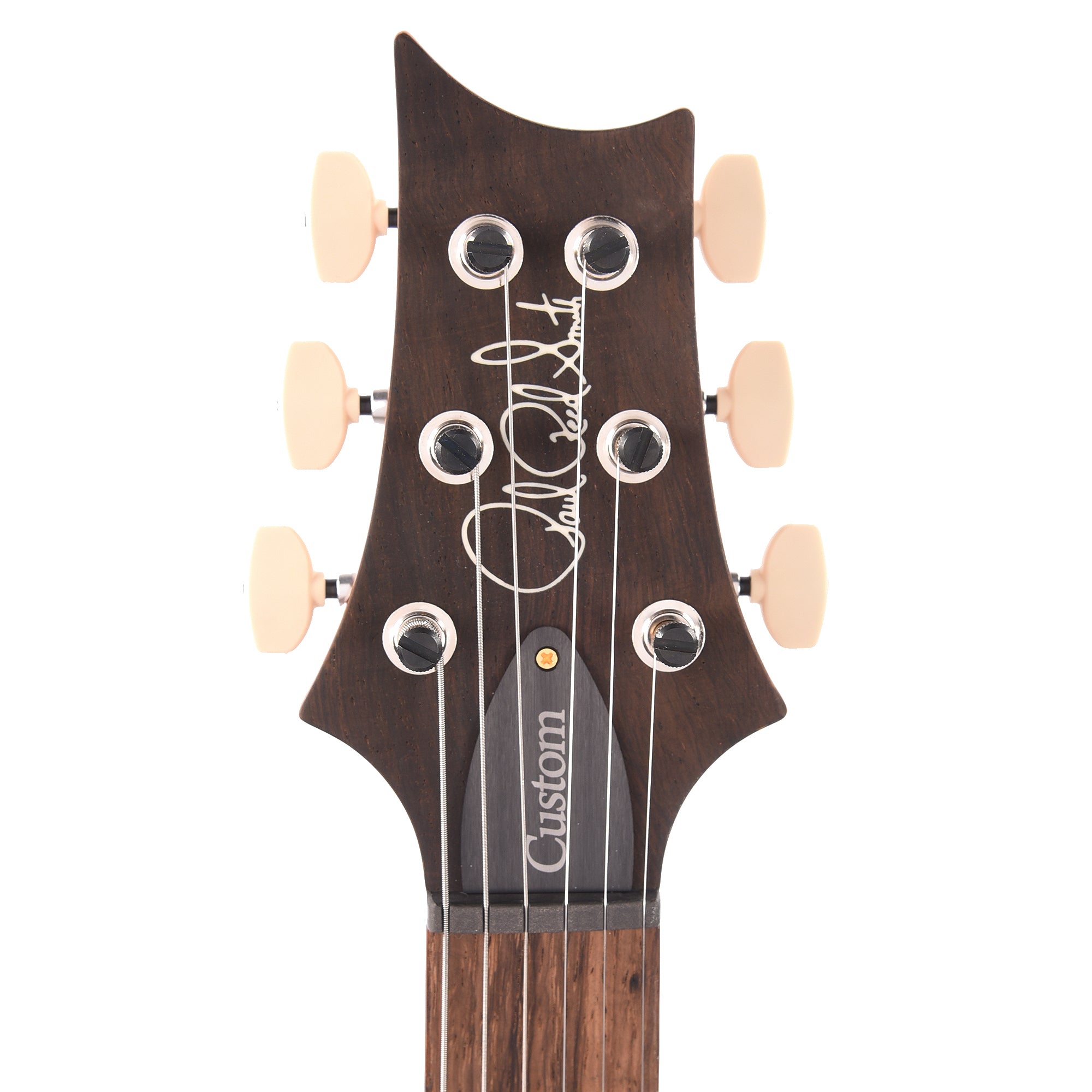 PRS Wood Library Custom 24 Fat Back 10-Top Flame Trampas Green w/Brazilian Rosewood Fingerboard Electric Guitars / Solid Body
