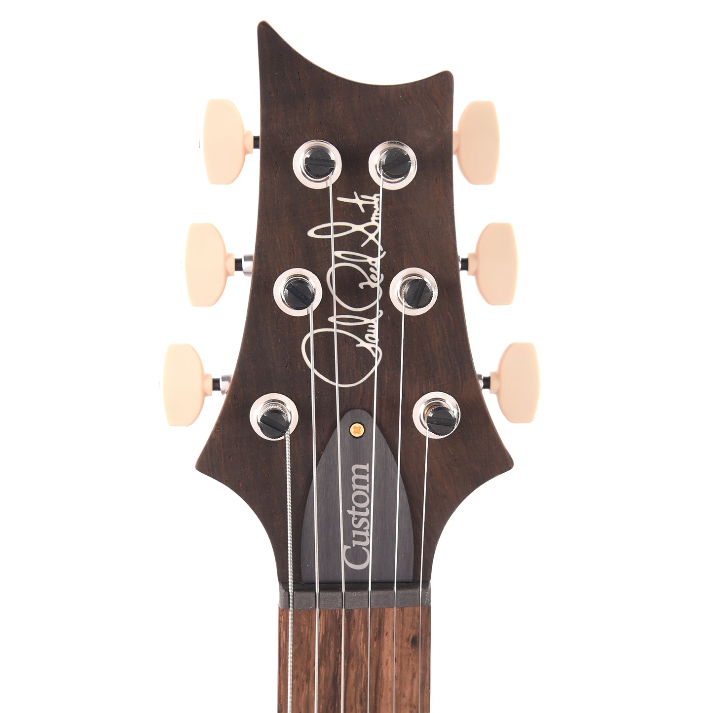 PRS Wood Library Custom 24 Fat Back 10-Top Flame Trampas Green w/Brazilian Rosewood Fingerboard Electric Guitars / Solid Body