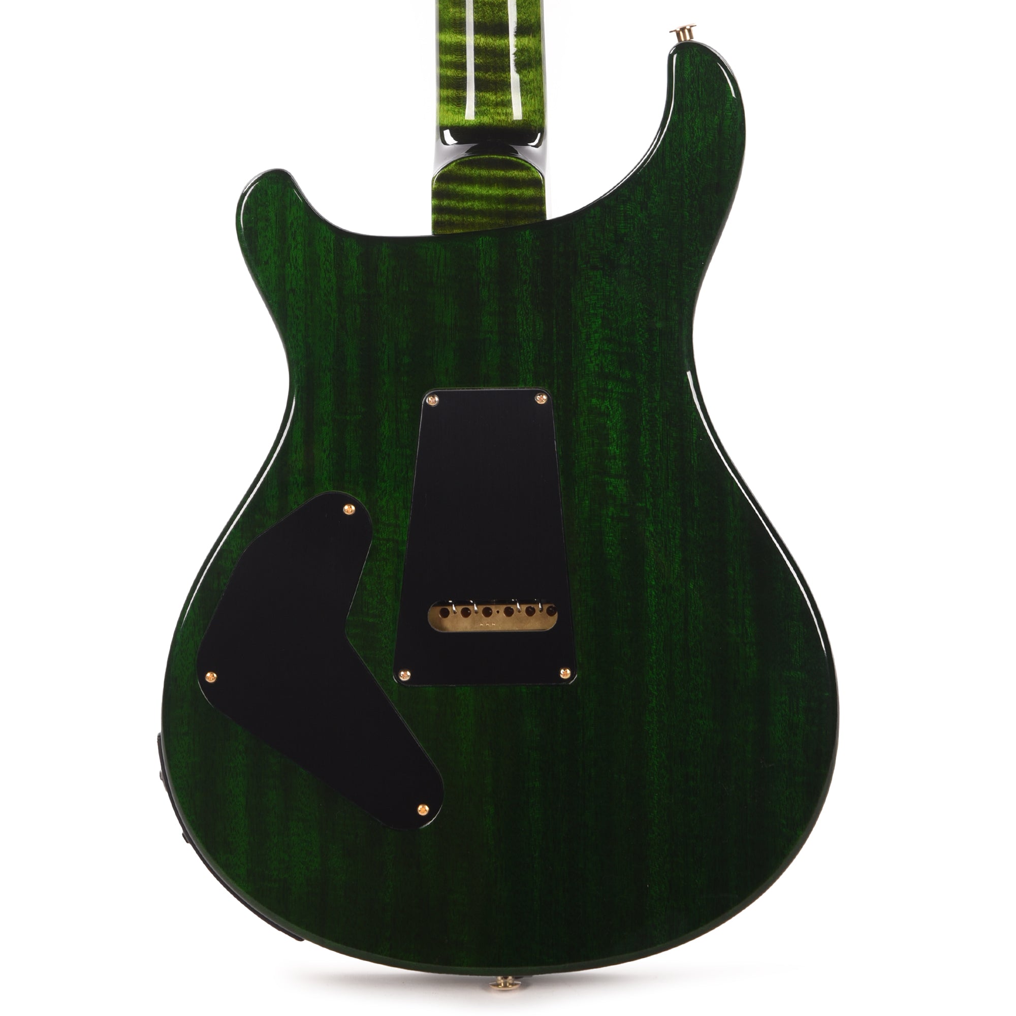 PRS Wood Library Custom 24 Piezo 10-Top Flame Jade w/Figured Stained Neck & Ebony Fingerboard Electric Guitars / Solid Body