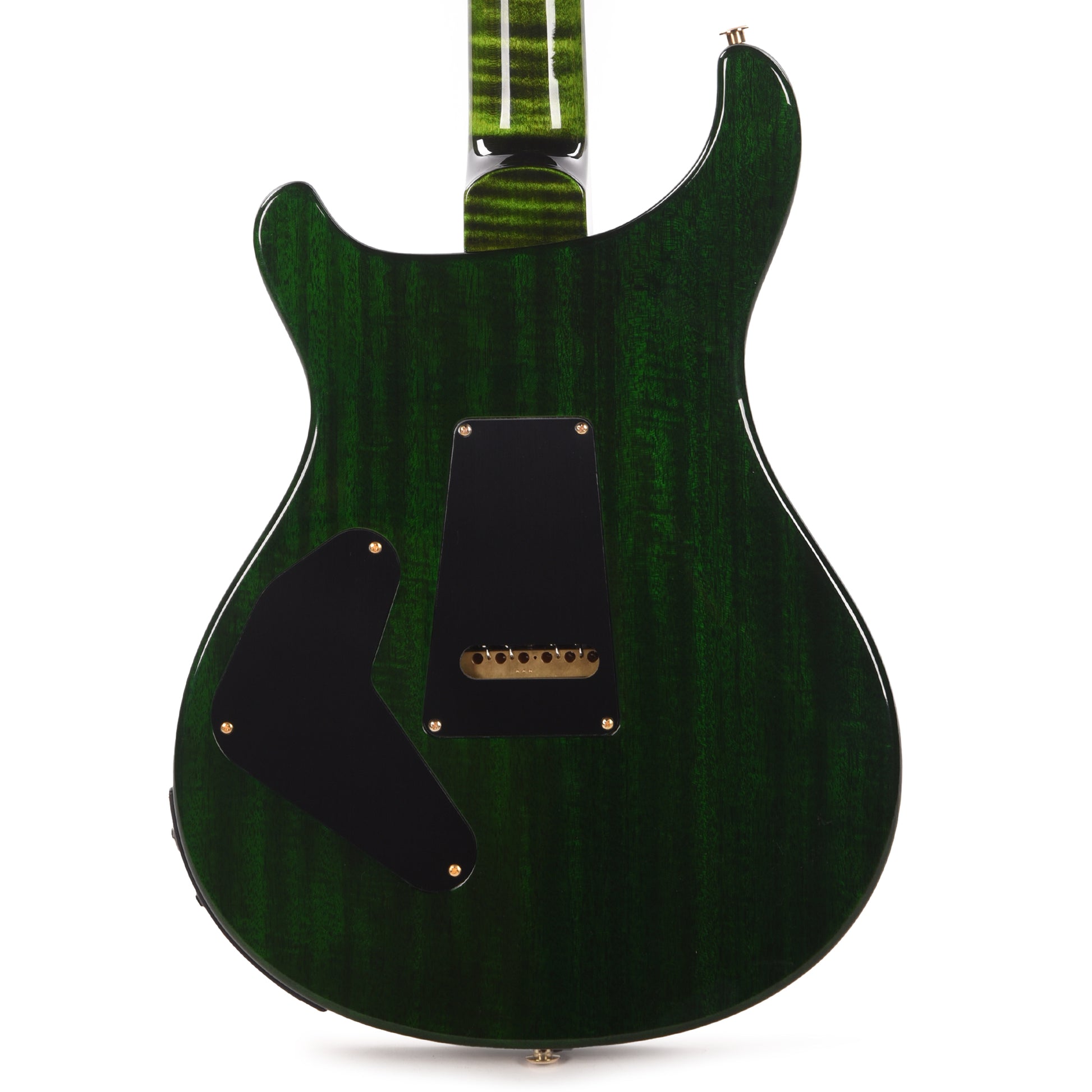 PRS Wood Library Custom 24 Piezo 10-Top Flame Jade w/Figured Stained Neck & Ebony Fingerboard Electric Guitars / Solid Body