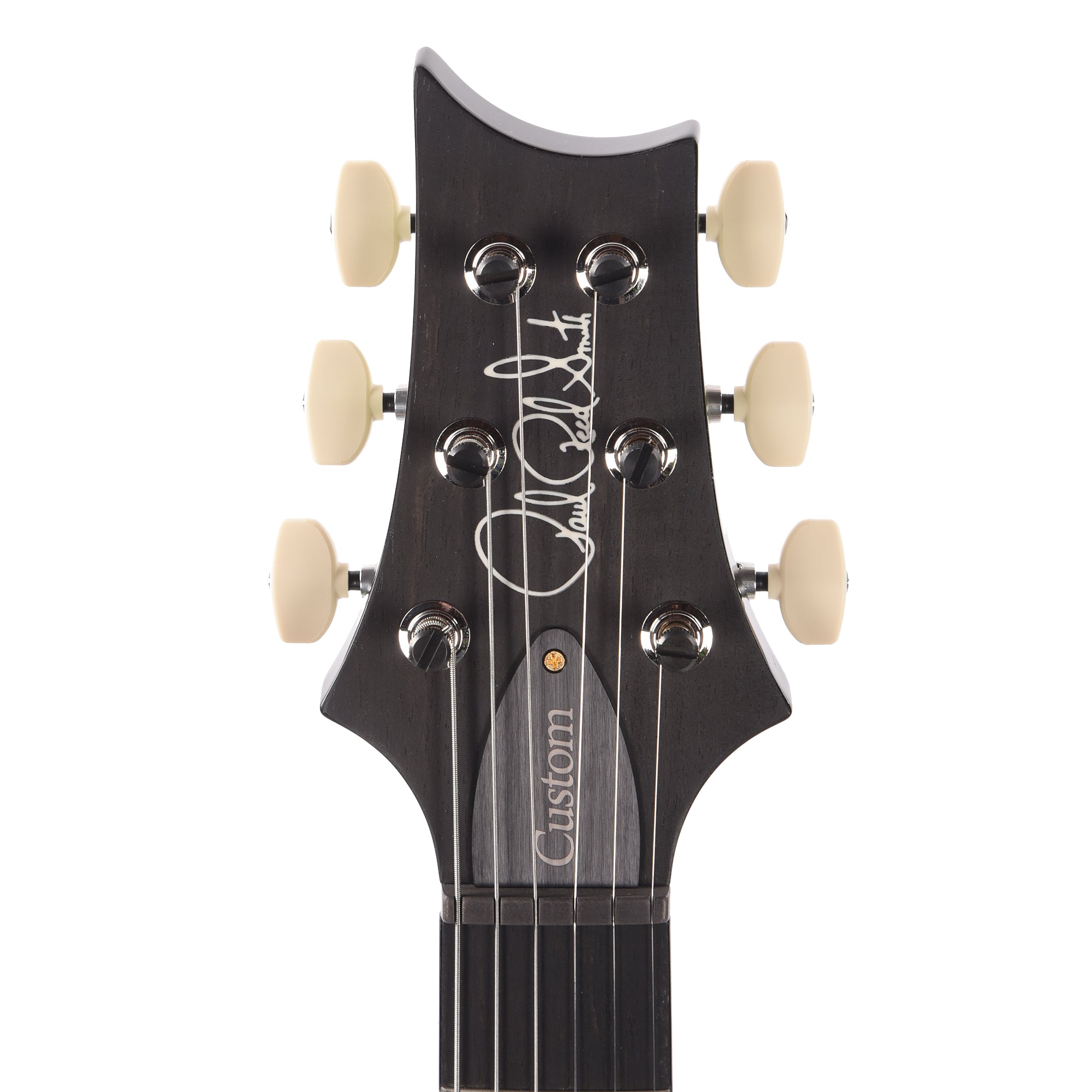 PRS Wood Library Custom 24 Piezo 10-Top Flame Jade w/Figured Stained Neck & Ebony Fingerboard Electric Guitars / Solid Body