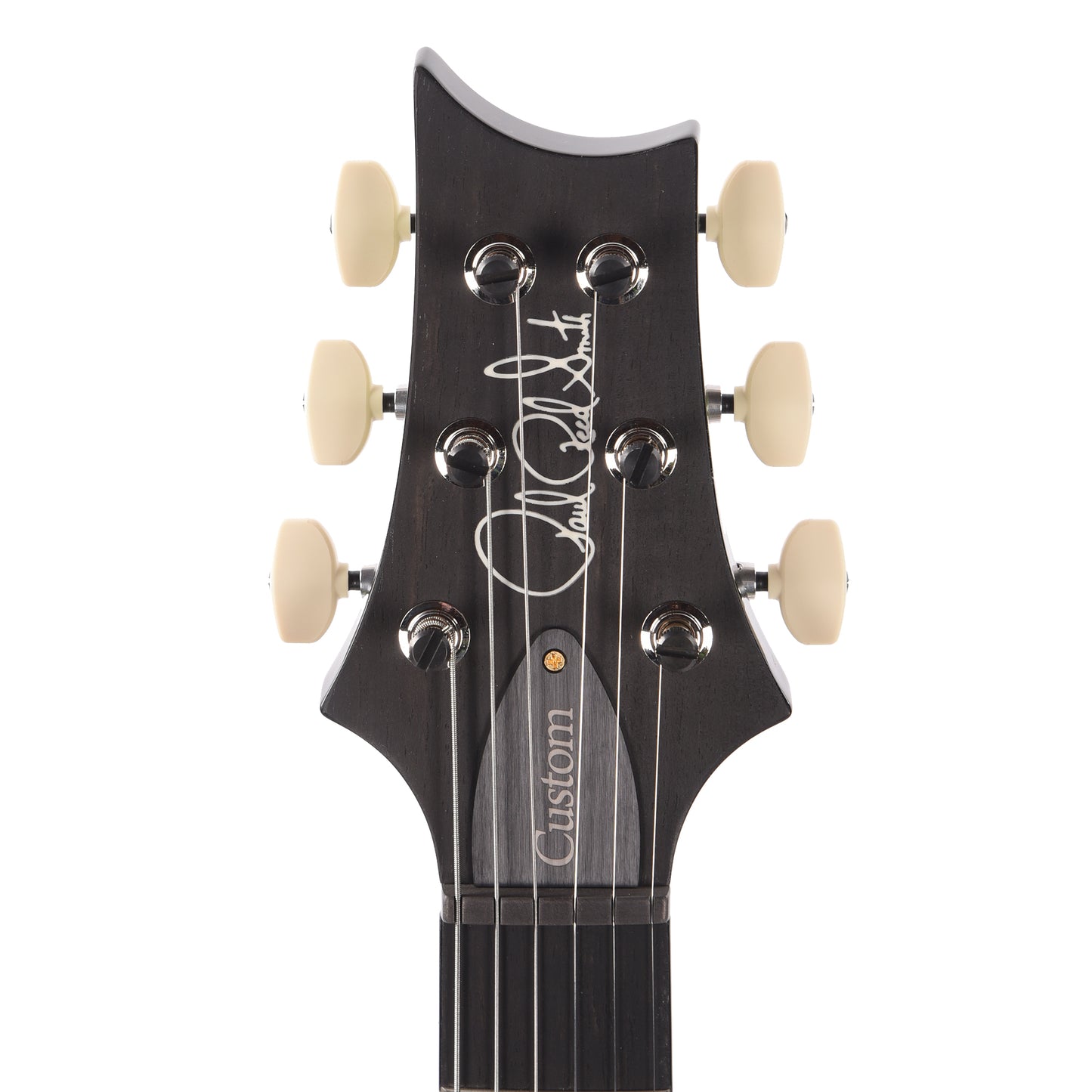 PRS Wood Library Custom 24 Piezo 10-Top Flame Jade w/Figured Stained Neck & Ebony Fingerboard Electric Guitars / Solid Body