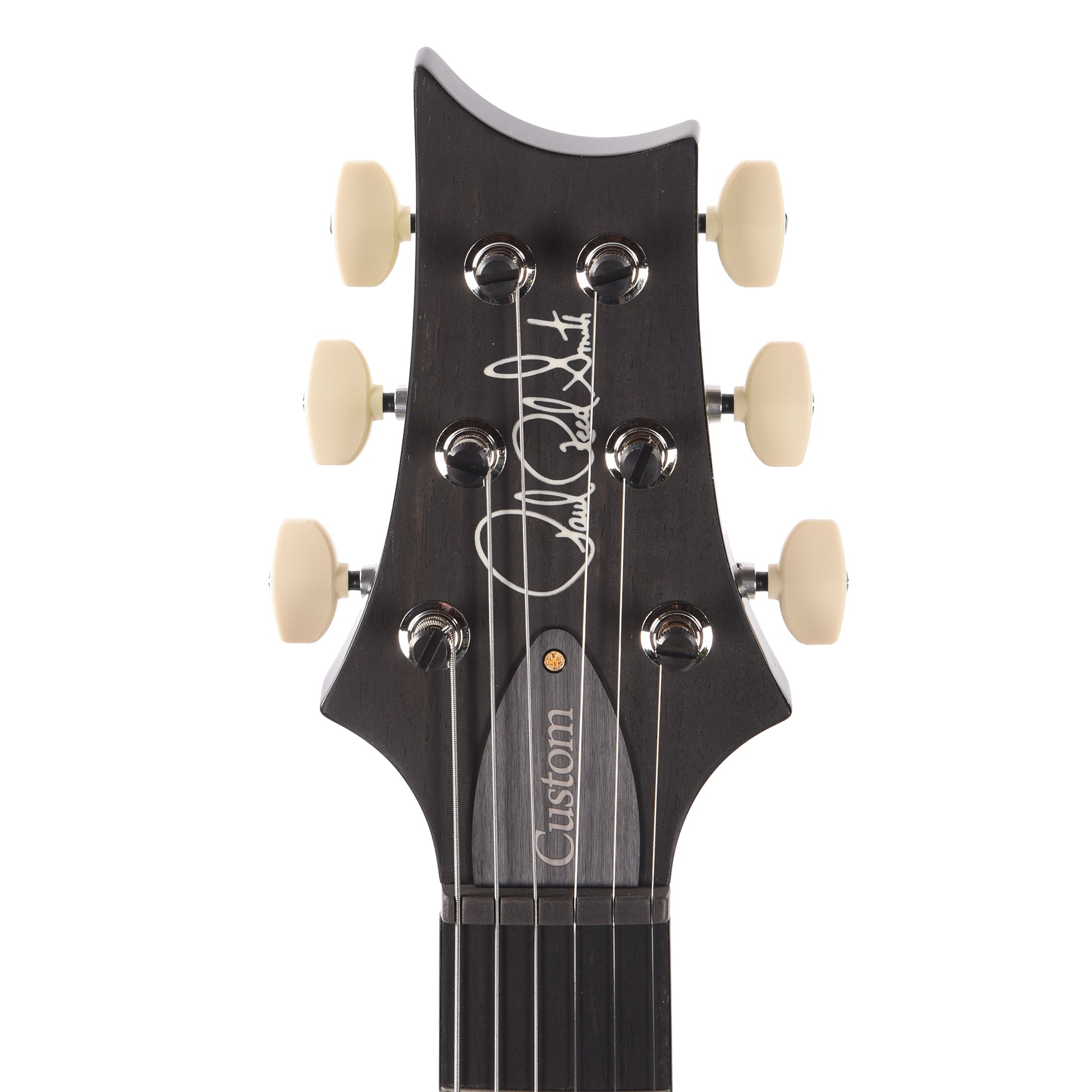 PRS Wood Library Custom 24 Piezo 10-Top Flame Jade w/Figured Stained Neck & Ebony Fingerboard Electric Guitars / Solid Body