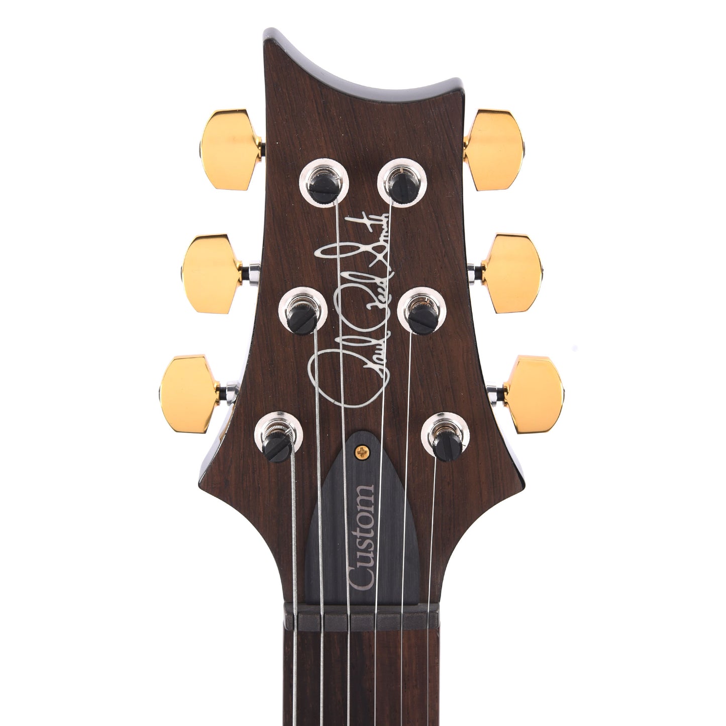PRS Wood Library Custom 24 Piezo 10-Top Quilt Jade w/Brazilian Rosewood Fingerboard Electric Guitars / Solid Body