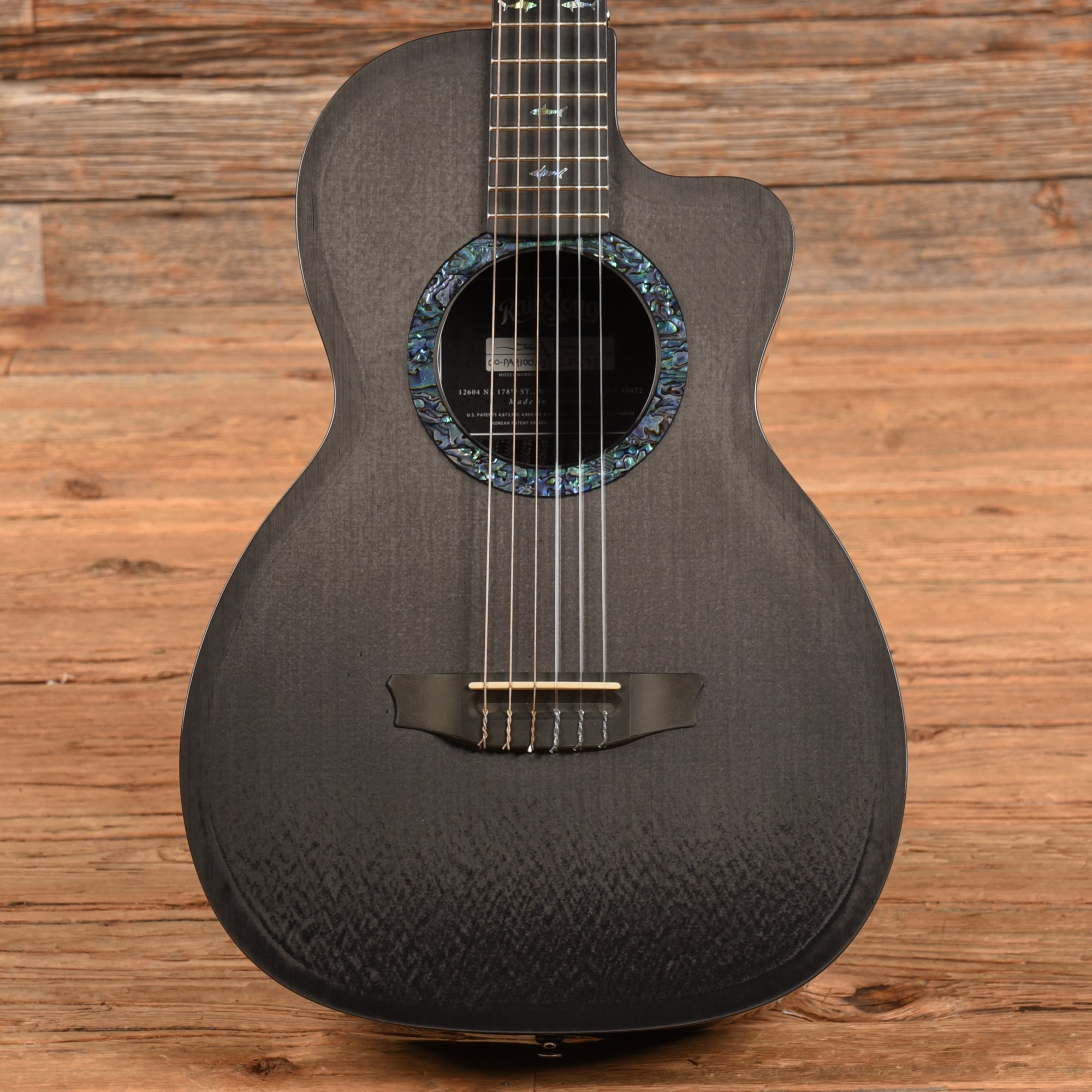 Rainsong CO-PA9100NS Carbon Fiber 2022 Acoustic Guitars / Classical