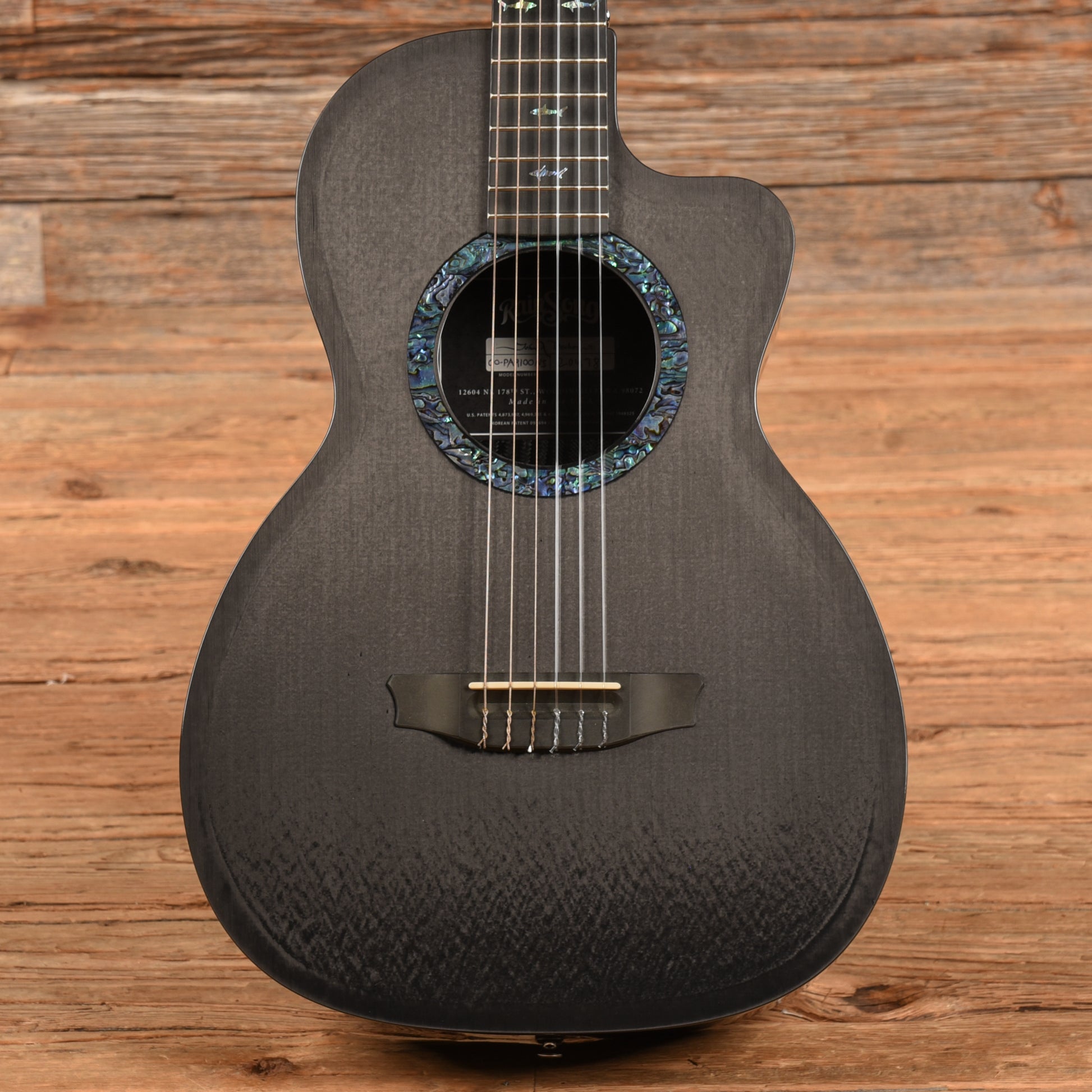 Rainsong CO-PA9100NS Carbon Fiber 2022 Acoustic Guitars / Classical