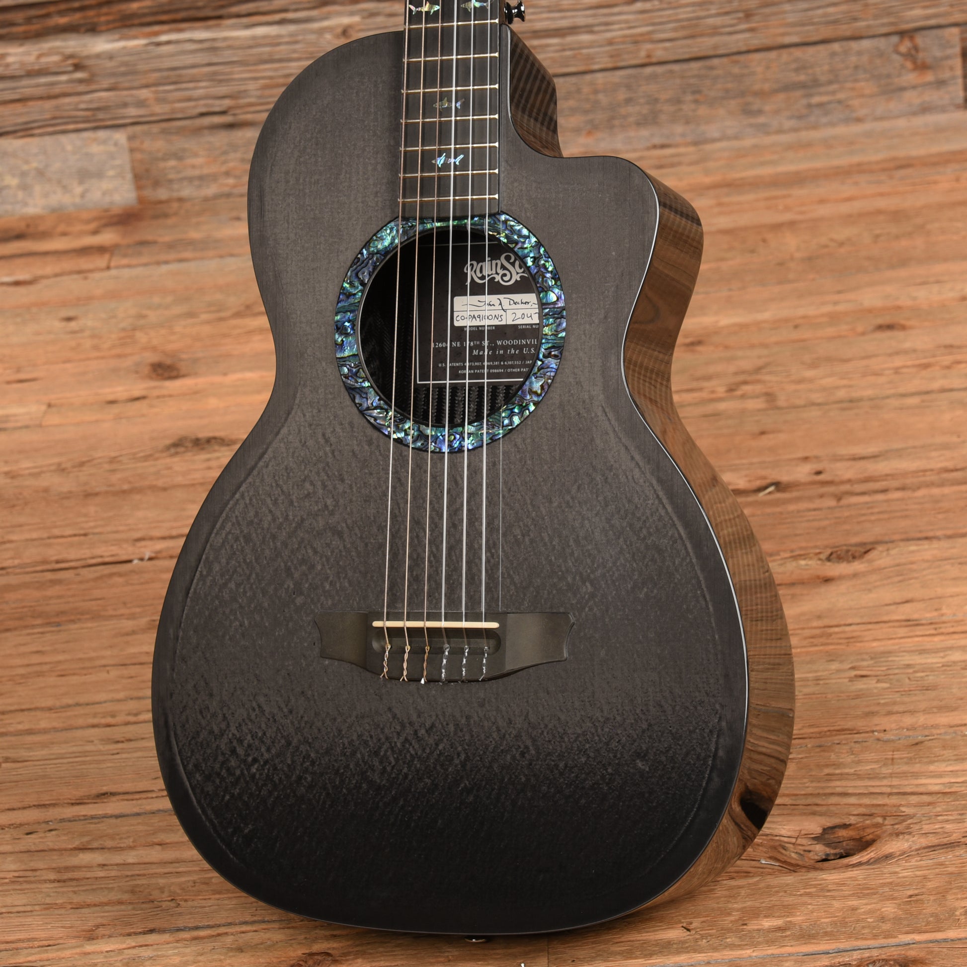 Rainsong CO-PA9100NS Carbon Fiber 2022 Acoustic Guitars / Classical