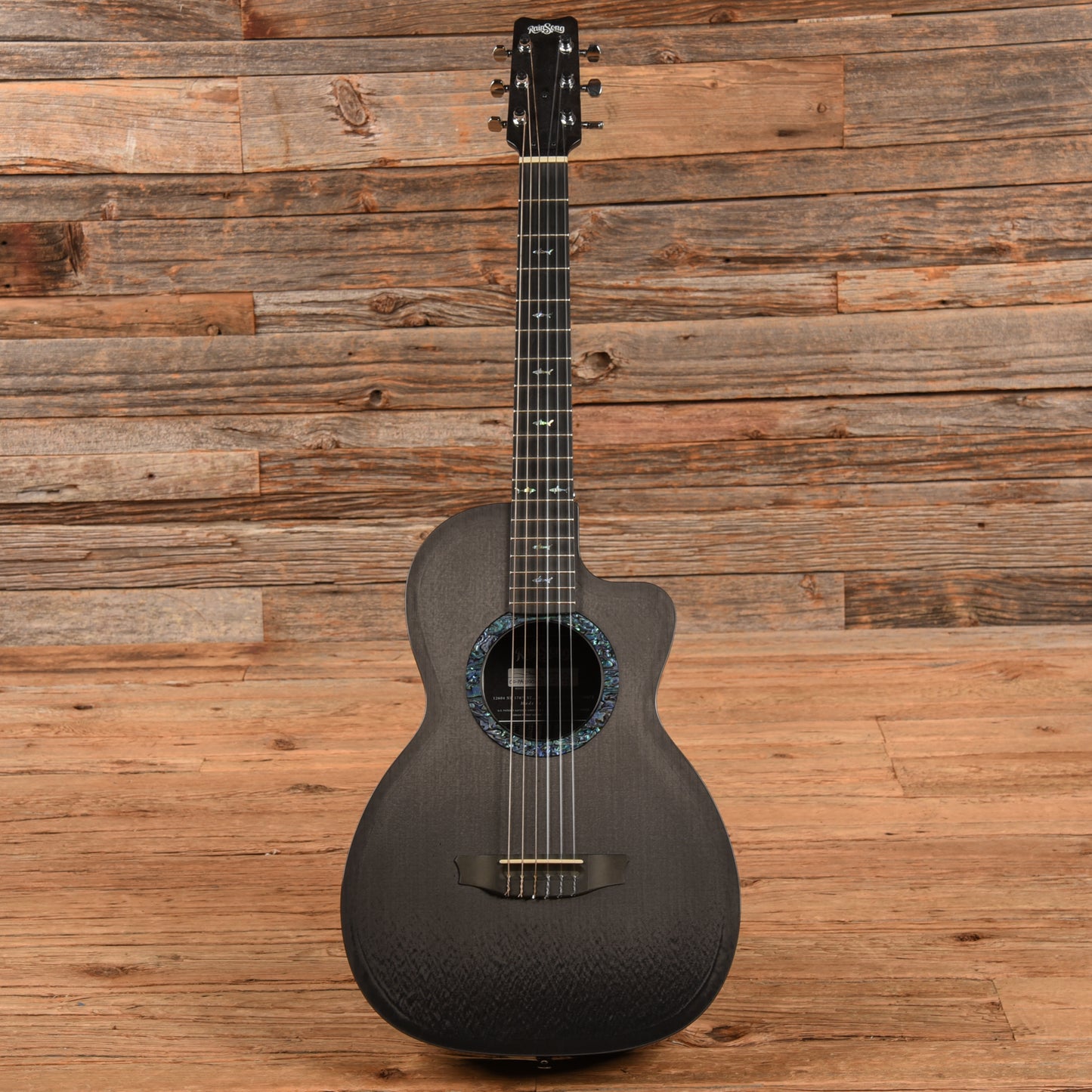 Rainsong CO-PA9100NS Carbon Fiber 2022 Acoustic Guitars / Classical