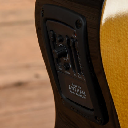 Rainsong V-OM1000NSX Natural 2021 Acoustic Guitars / OM and Auditorium