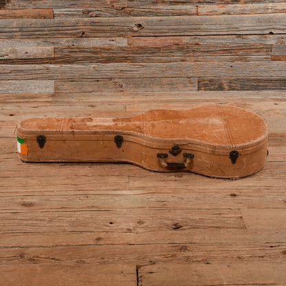 Recording King NOT SURE - FIGURE OUT Sunburst Electric Guitars / Hollow Body