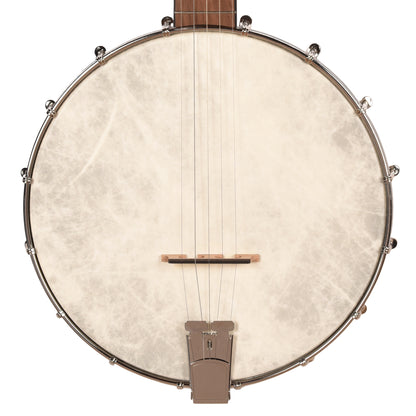 Recording King Dirty 30's Open Back Banjo Folk Instruments / Banjos