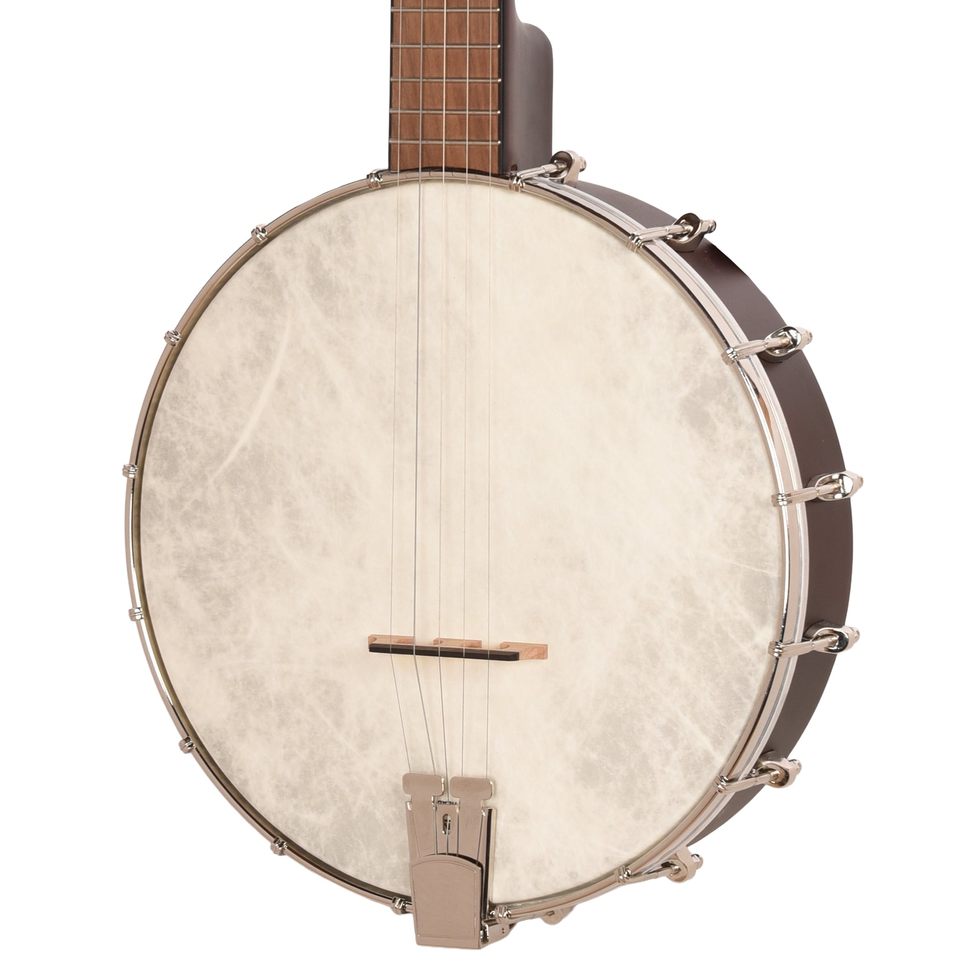 Recording King Dirty 30's Open Back Banjo Folk Instruments / Banjos