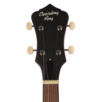 Recording King Dirty 30's Open Back Banjo Folk Instruments / Banjos