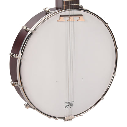 Recording King Dirty 30s Open Back Banjo Folk Instruments / Banjos