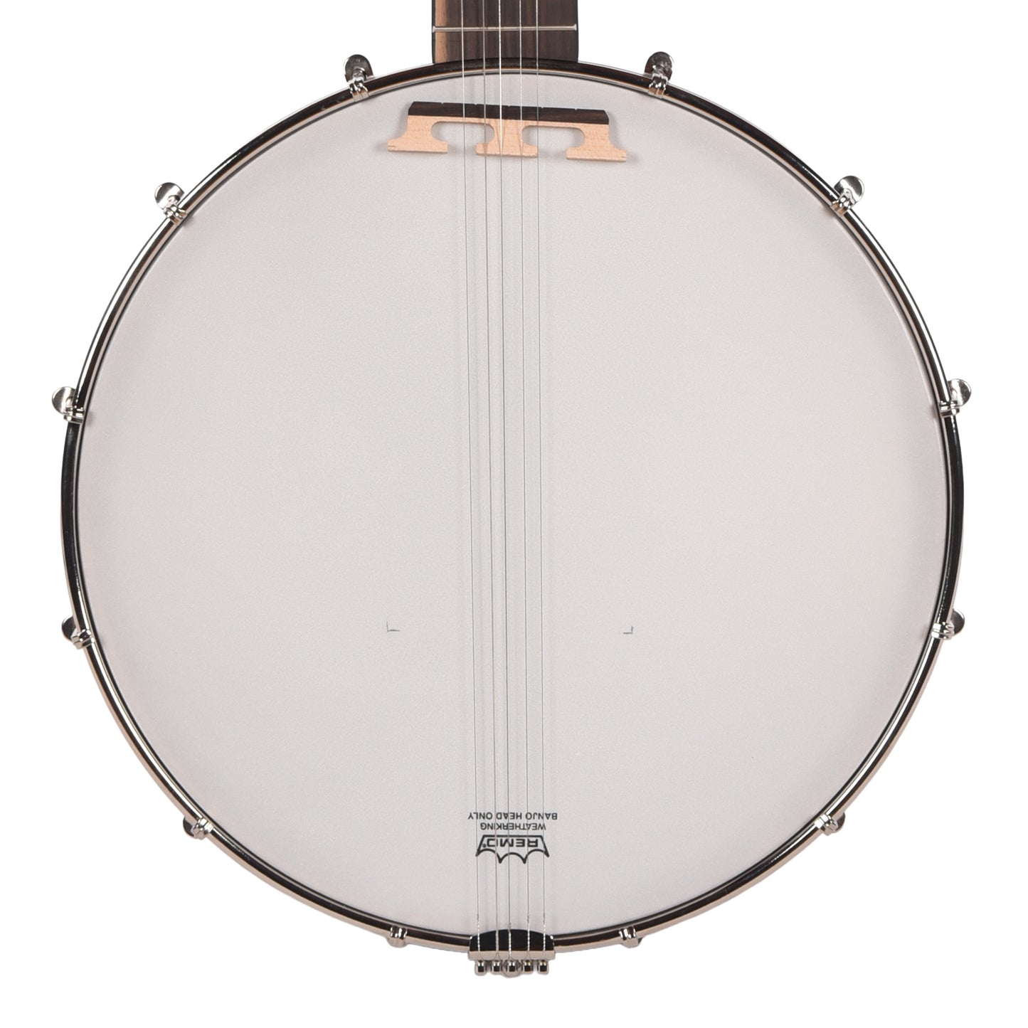 Recording King Dirty 30s Open Back Banjo Folk Instruments / Banjos