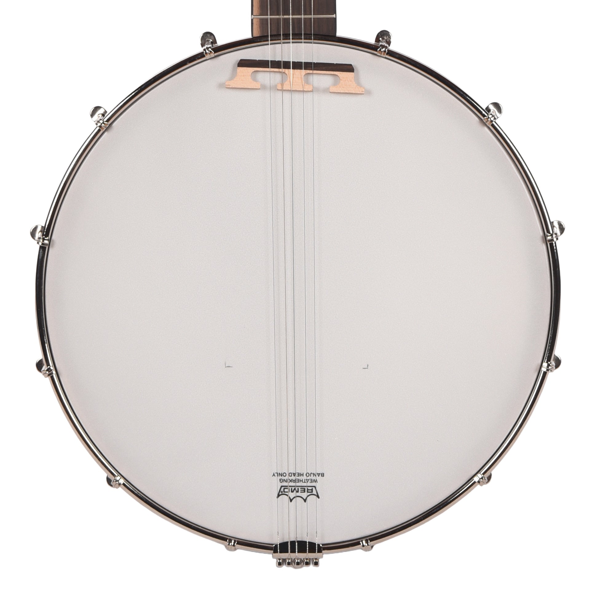 Recording King Dirty 30s Open Back Banjo Folk Instruments / Banjos