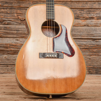 Regal Tenor Guitar Natural 1970s Acoustic Guitars / Tenor