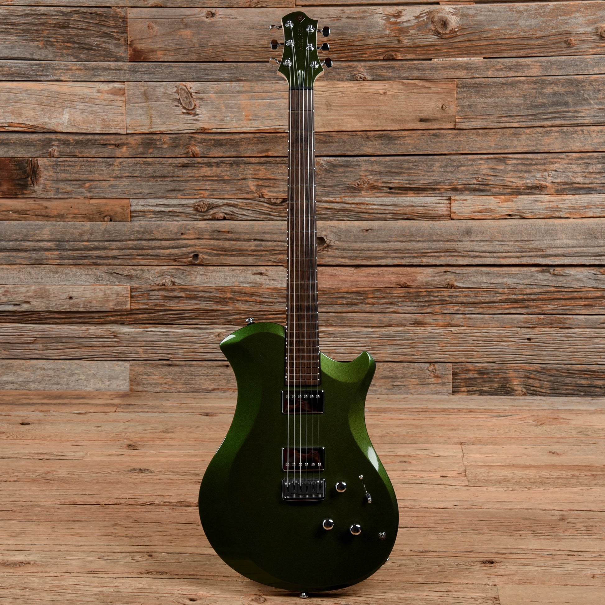 Relish Mary Custom Rainbow Electric Guitars / Solid Body