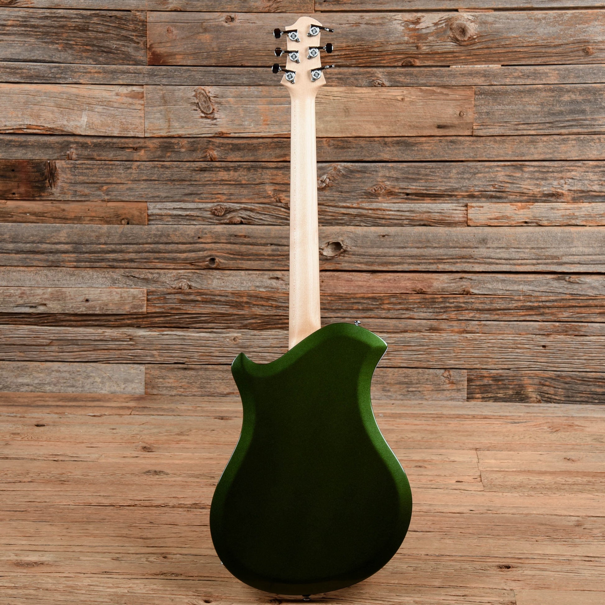 Relish Mary Custom Rainbow Electric Guitars / Solid Body
