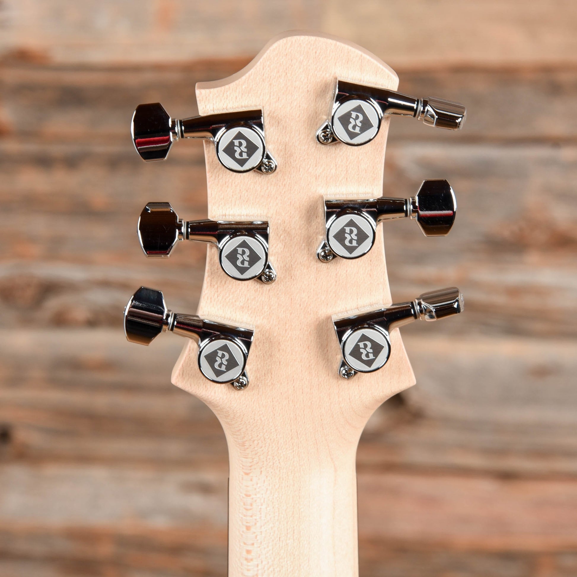 Relish Mary Custom Rainbow Electric Guitars / Solid Body