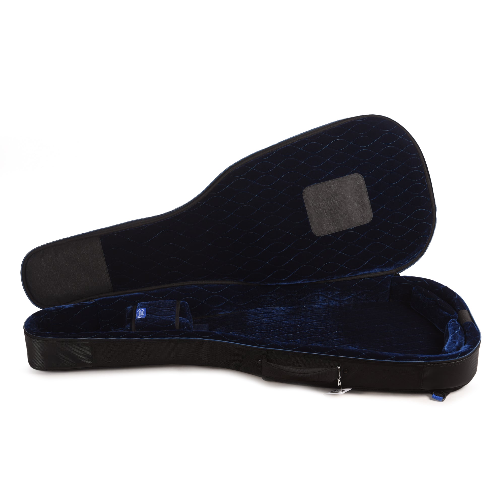 Reunion Blues Expedition Semi-Hollow/Hollow Body Electric Guitar Case Accessories / Cases and Gig Bags / Guitar Cases
